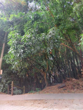Complejo Semi-campestre cerca a Universidad San Buenaventura